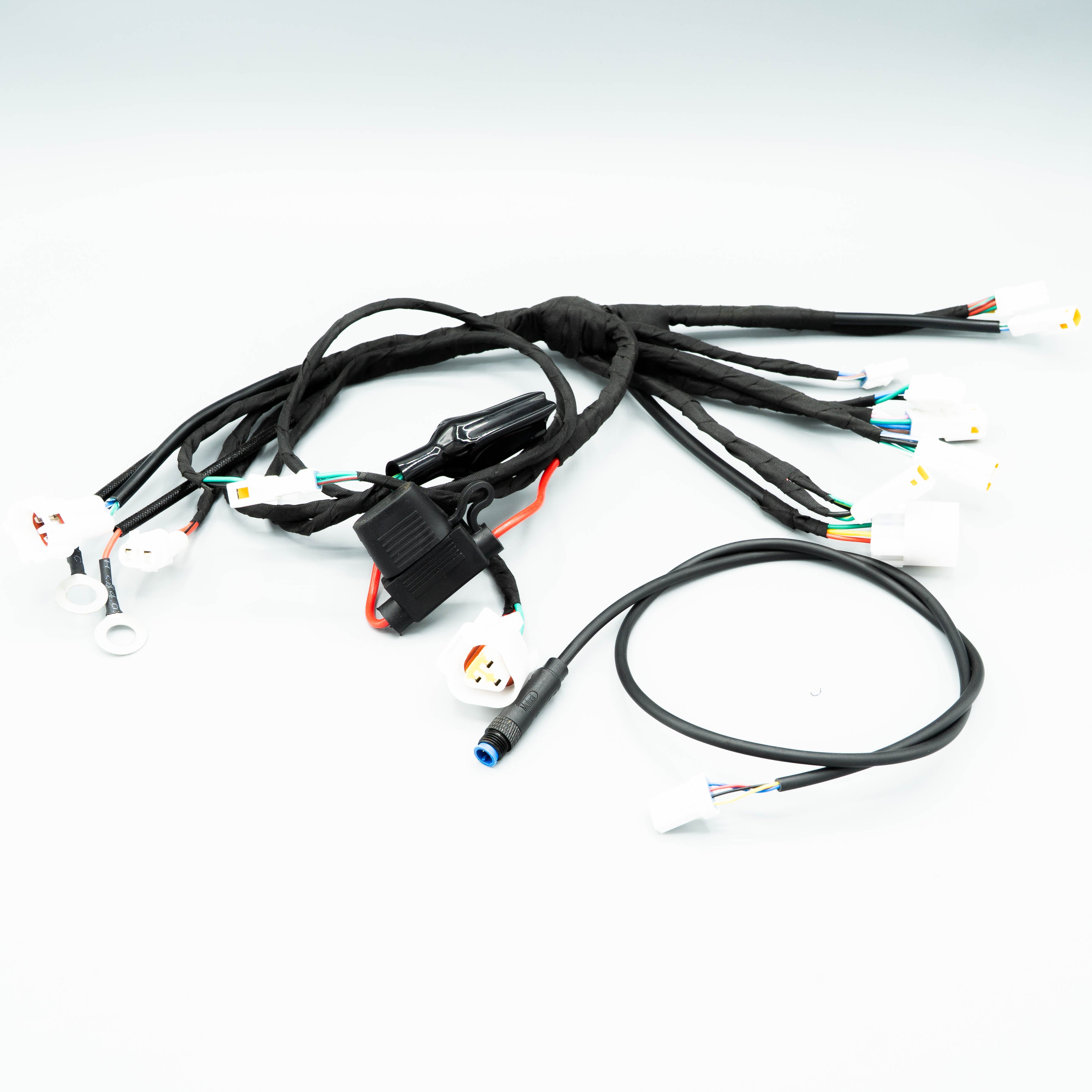 Champ Main Cable