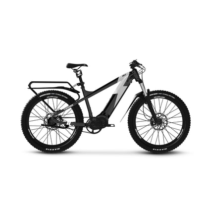 e bike mountainbike 1000 watt Blade 2.0