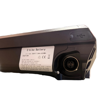 Lithium Battery Pack for all FLX G1, G2, F1, & F2 Model bikes
