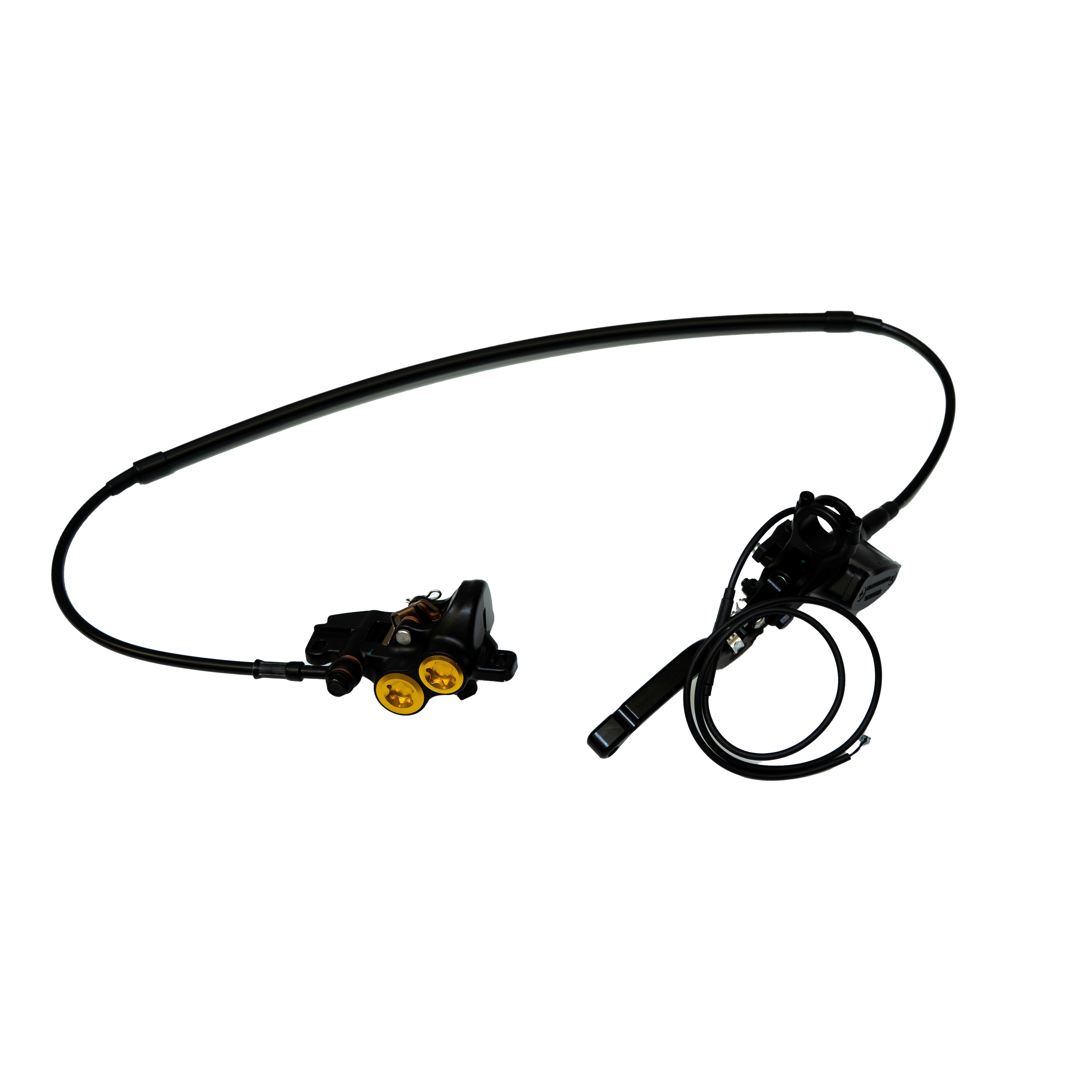 Champ Front Disc Brake Assembly