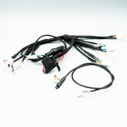 Champ Main Cable
