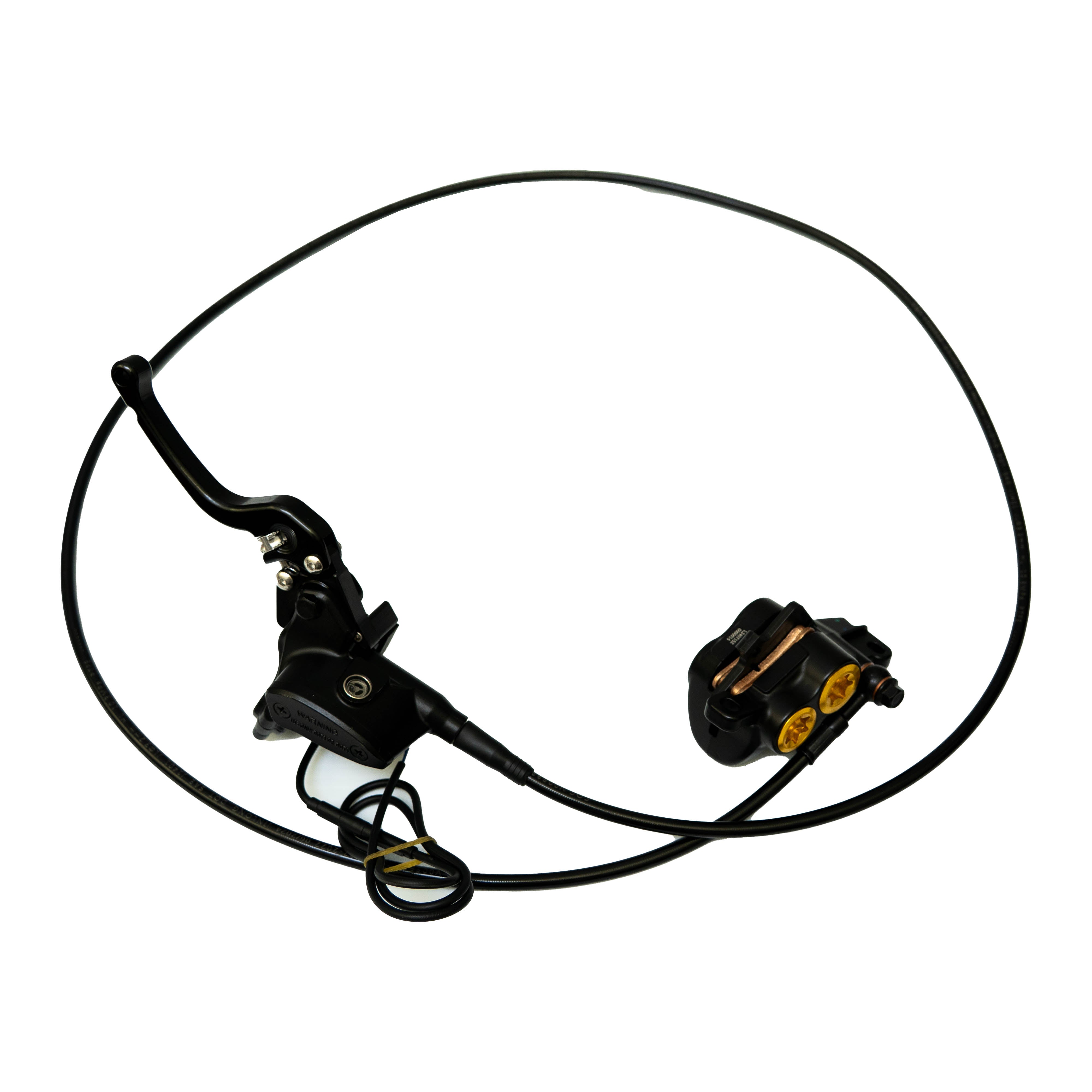 Champ Rear Disc Brake Assembly