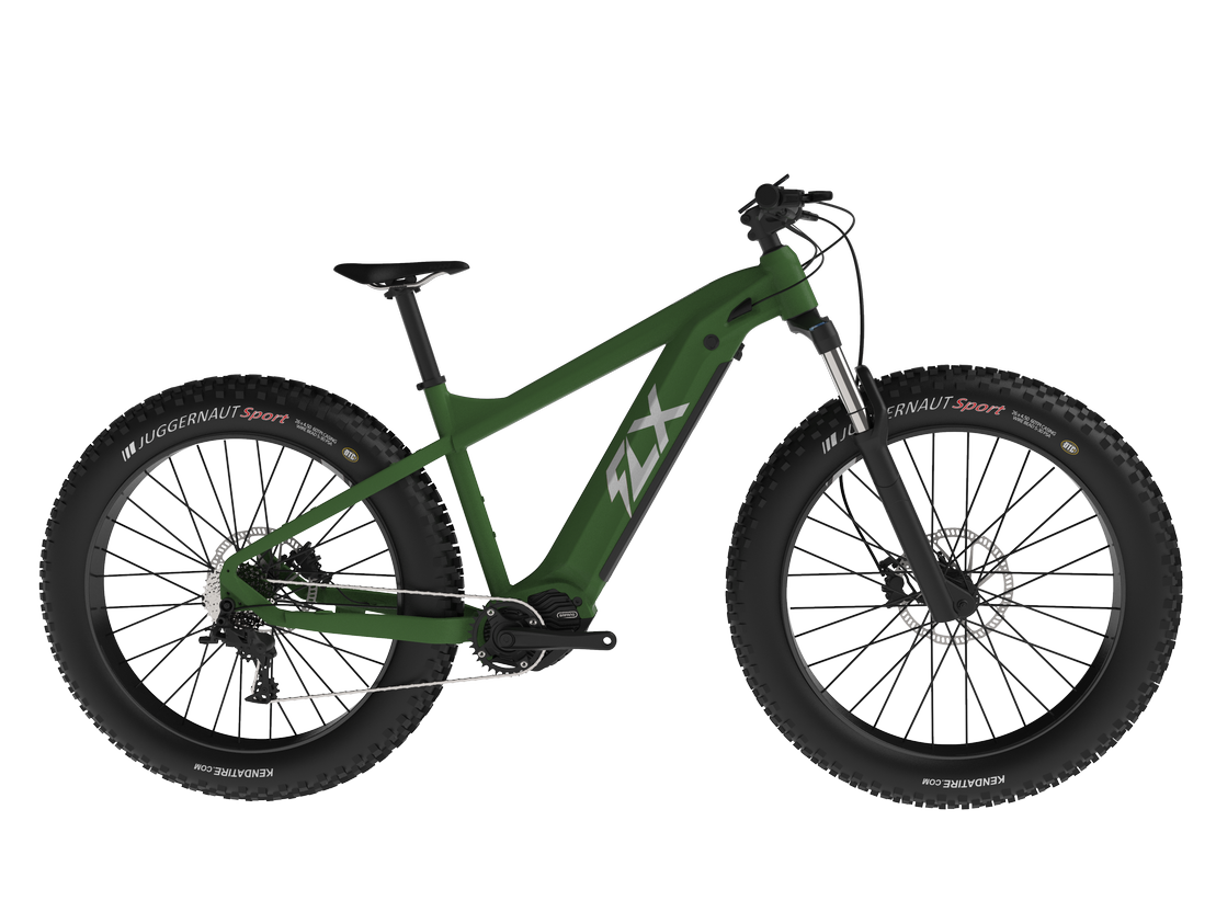 Flx bikes online